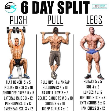 Victors 6 Day/week Muscle Building Program (Push/Pull/Legs Split)